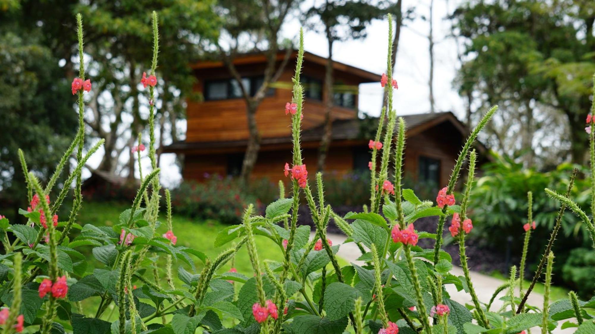 Lucero Golf And Country Club Tree Houses Boquete Kültér fotó